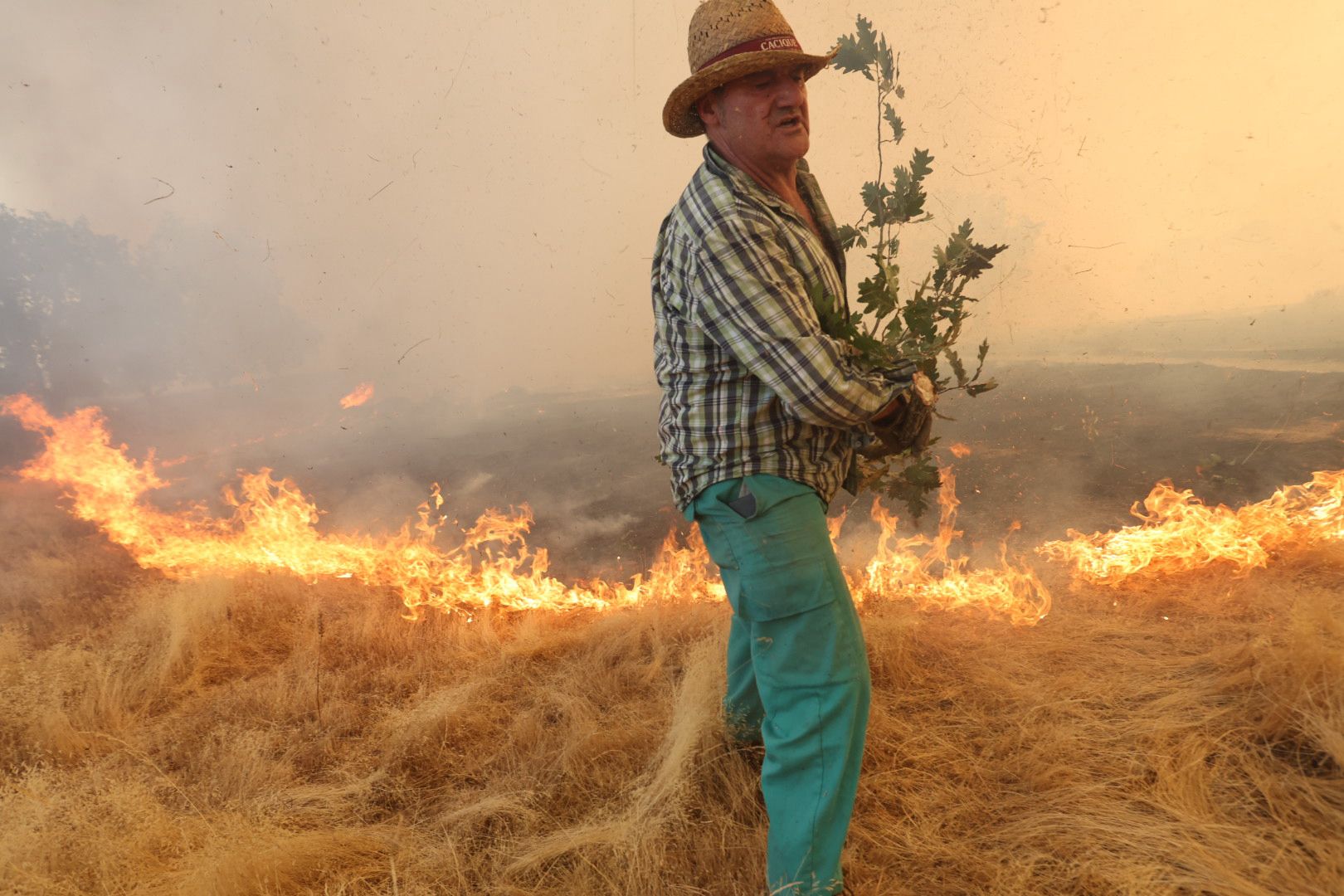 El incendio de Cipérez, en imágenes