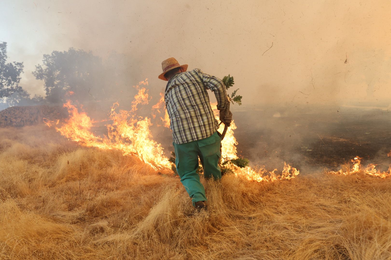 El incendio de Cipérez, en imágenes