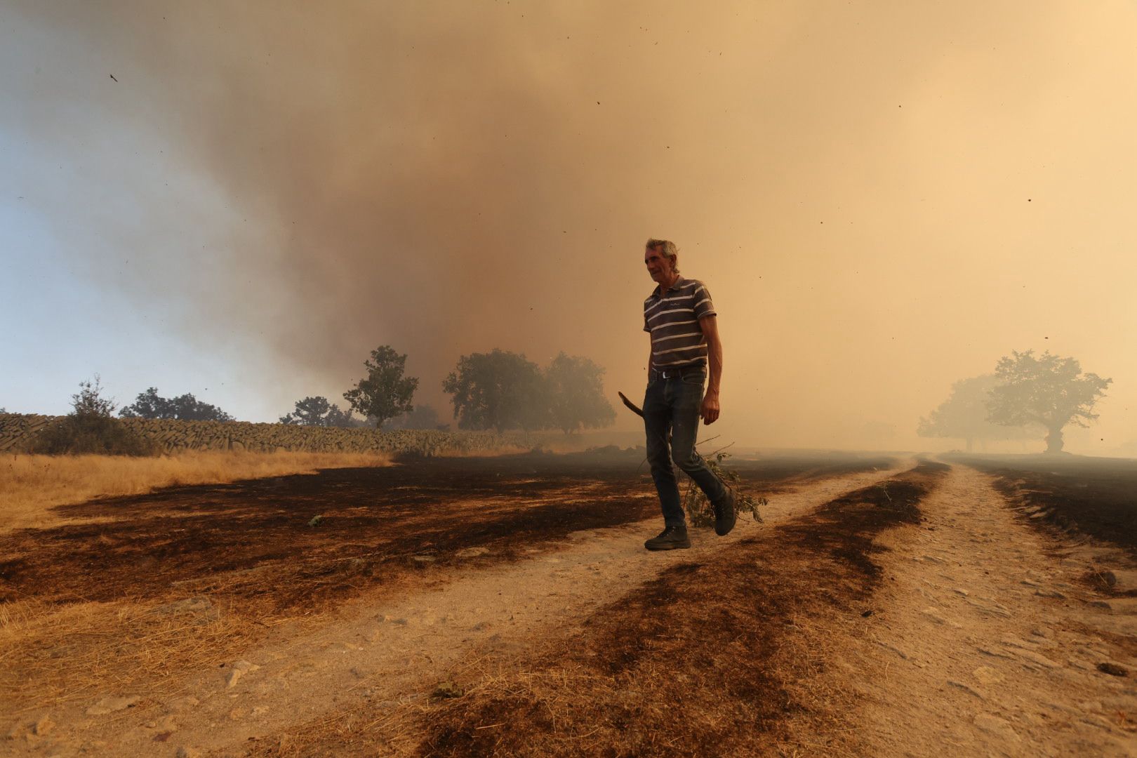 El incendio de Cipérez, en imágenes