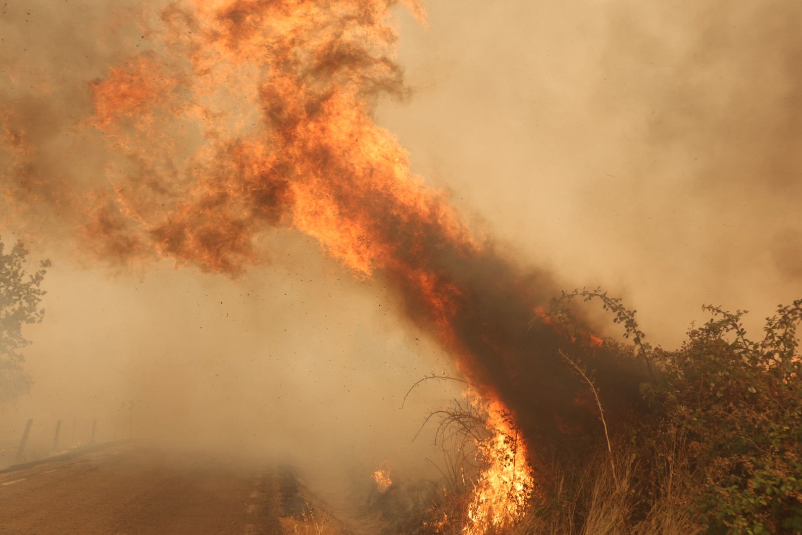 El incendio de Cipérez, en imágenes