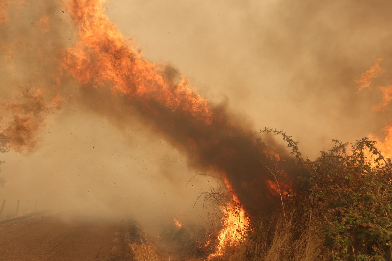 El incendio de Cipérez, en imágenes