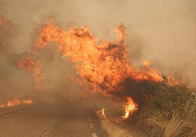 Las mejores imágenes del incendio de Cipérez.