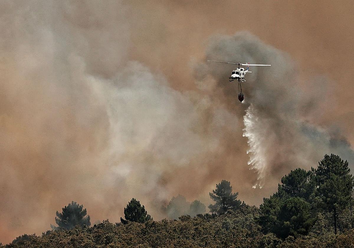 Evacuación inmediata de 1.300 personas de El Payo a Robleda en Salamanca por el incendio