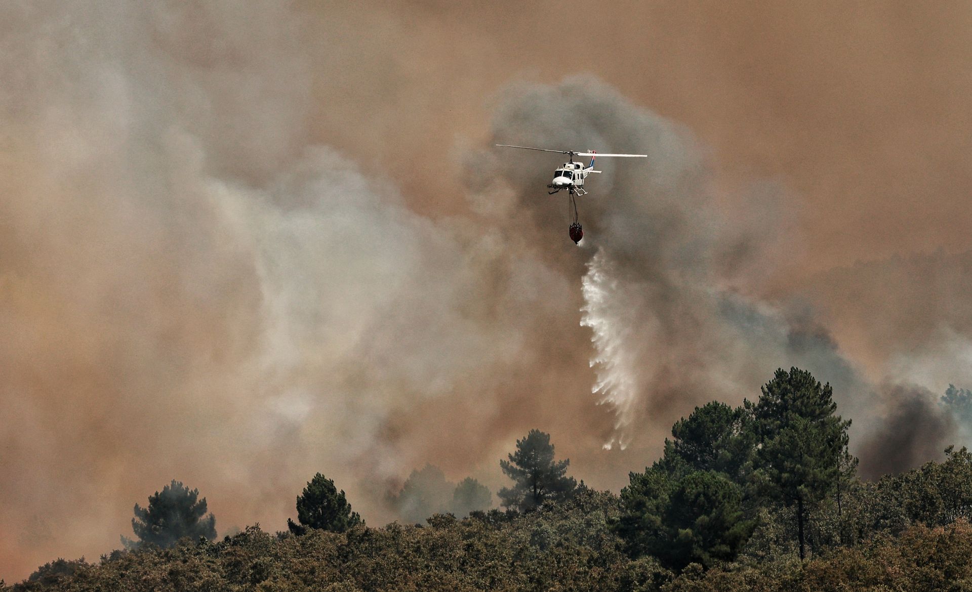 El incendio de El Payo de Salamanca, en imágenes