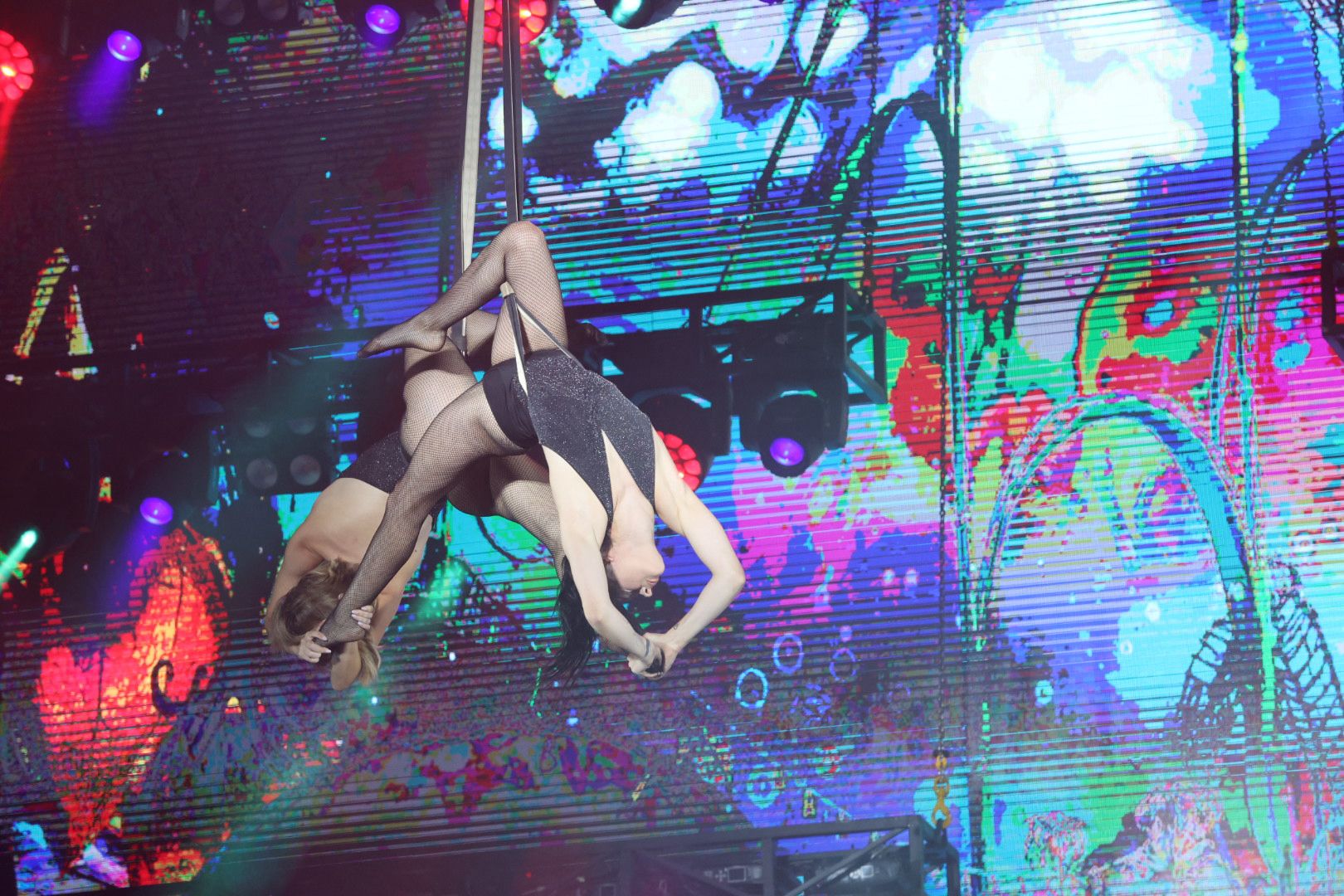 Las vaquillas nocturnas y la orquesta La Misión, protagonistas en las fiestas de Carbajosa de la Sagrada