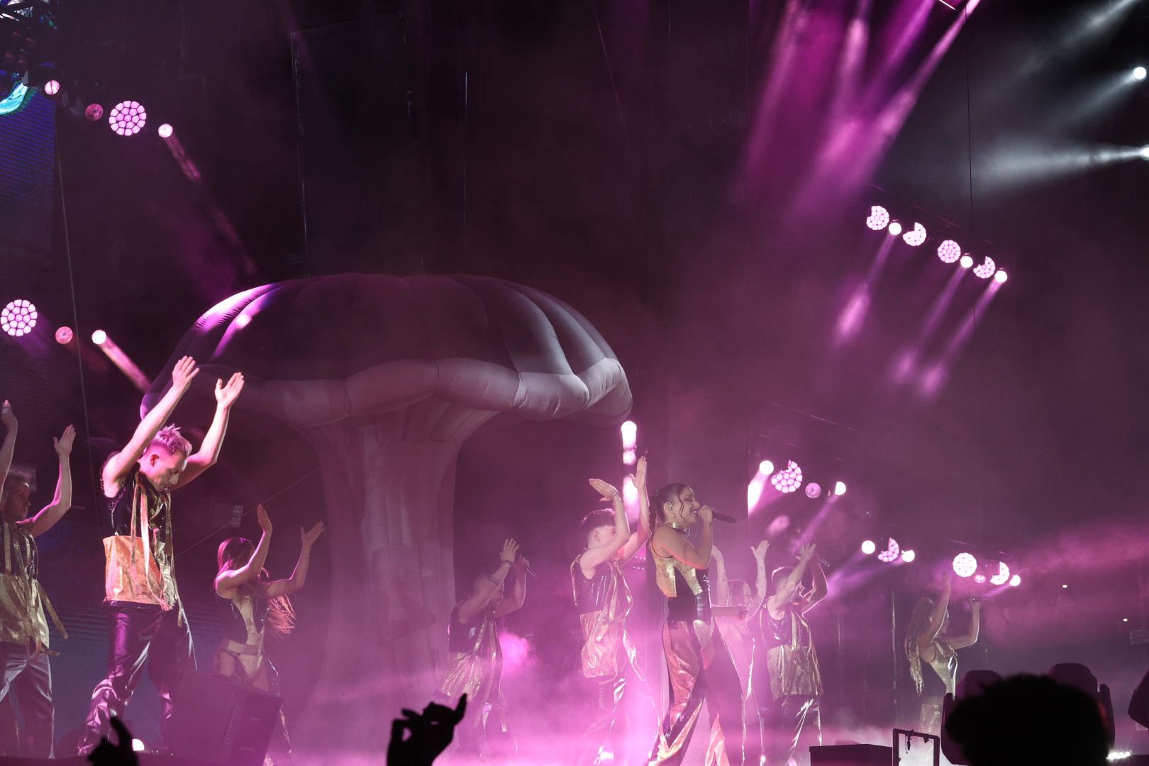 Las vaquillas nocturnas y la orquesta La Misión, protagonistas en las fiestas de Carbajosa de la Sagrada