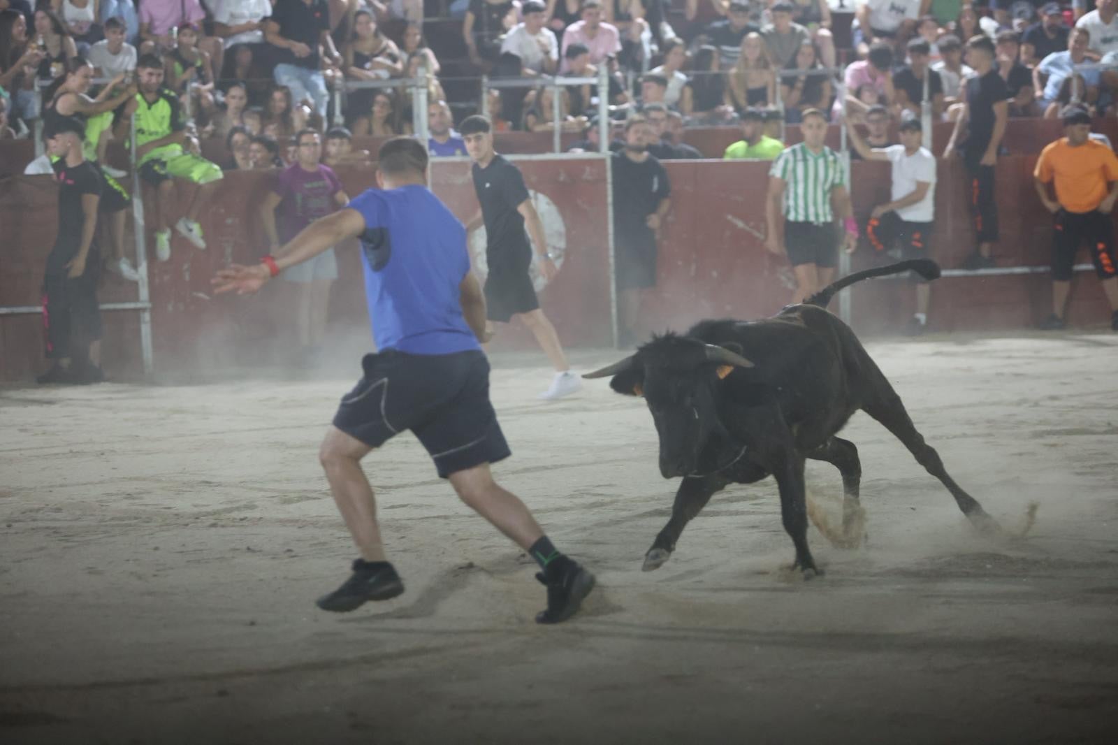 Las vaquillas nocturnas y la orquesta La Misión, protagonistas en las fiestas de Carbajosa de la Sagrada