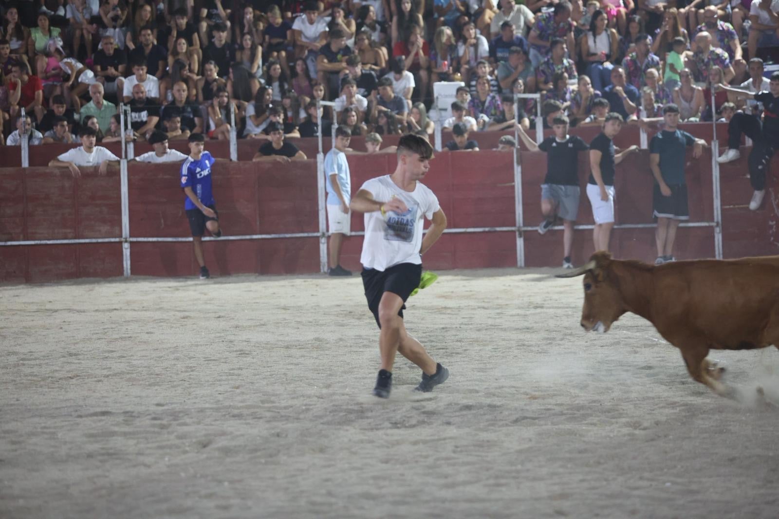 Las vaquillas nocturnas y la orquesta La Misión, protagonistas en las fiestas de Carbajosa de la Sagrada