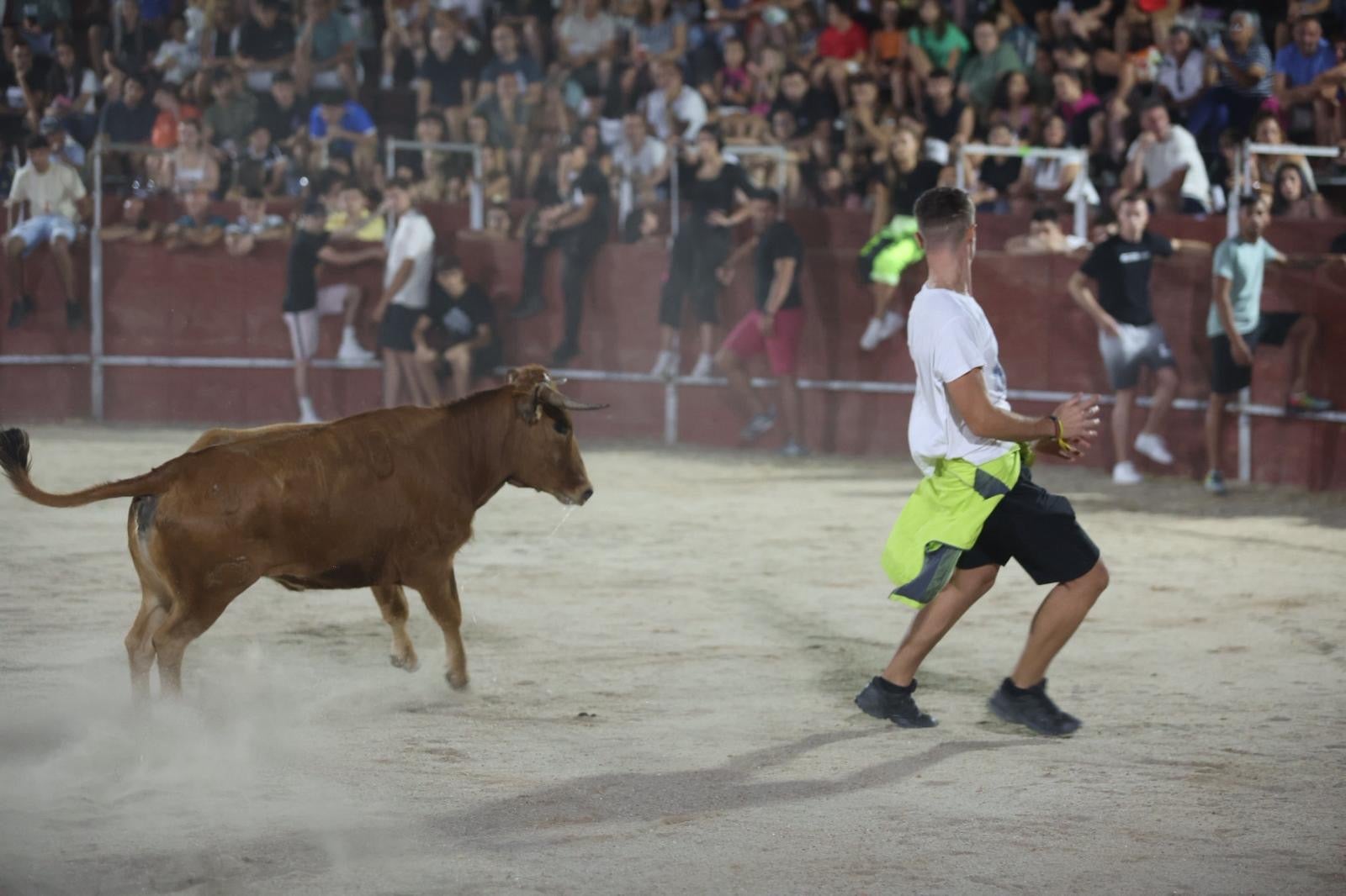 Las vaquillas nocturnas y la orquesta La Misión, protagonistas en las fiestas de Carbajosa de la Sagrada