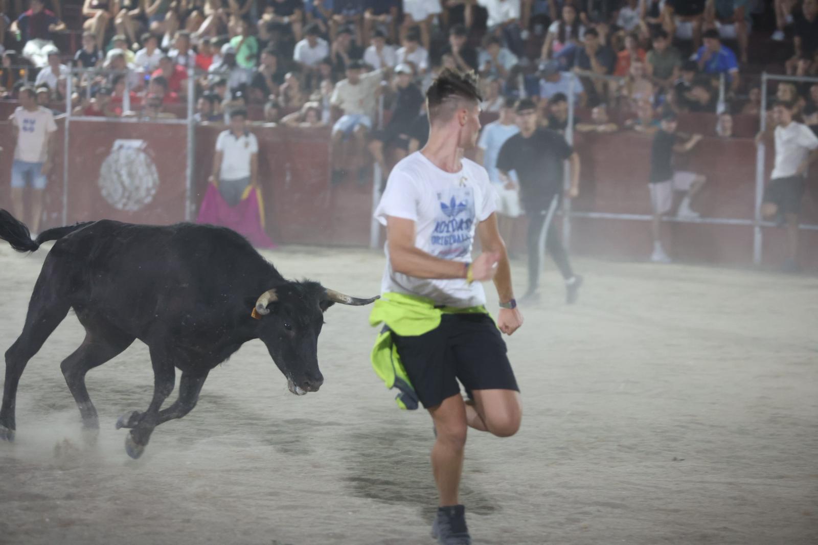 Las vaquillas nocturnas y la orquesta La Misión, protagonistas en las fiestas de Carbajosa de la Sagrada
