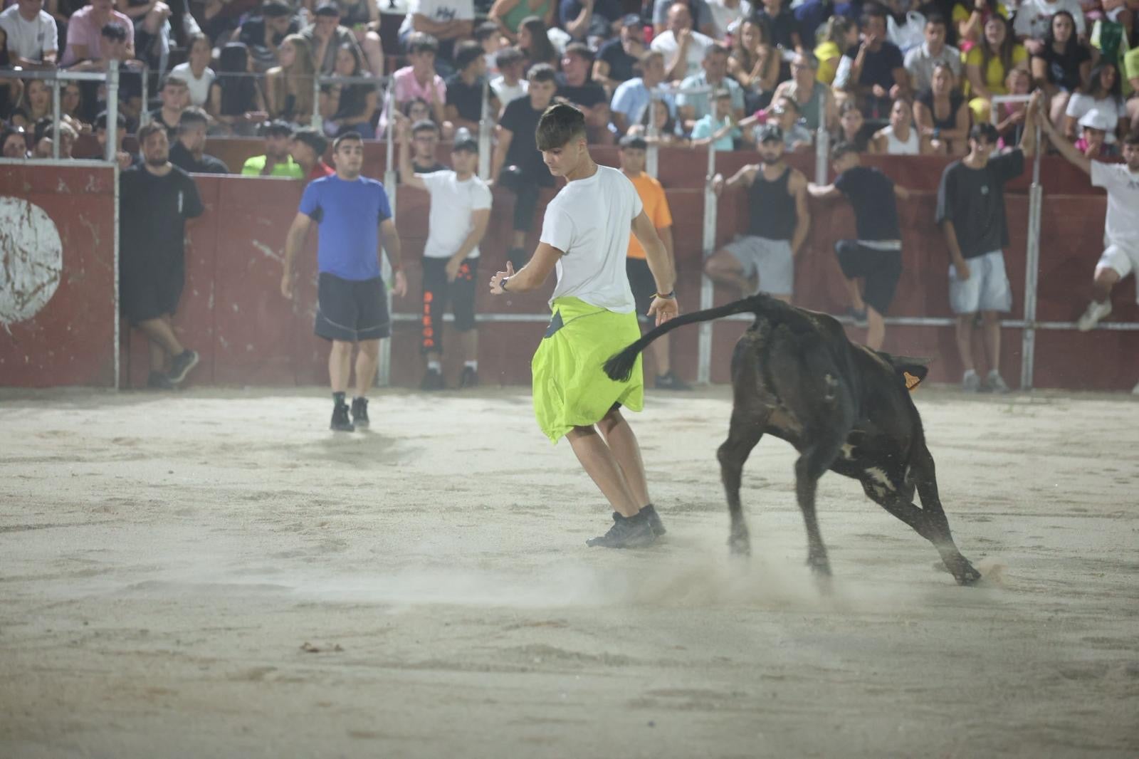 Las vaquillas nocturnas y la orquesta La Misión, protagonistas en las fiestas de Carbajosa de la Sagrada
