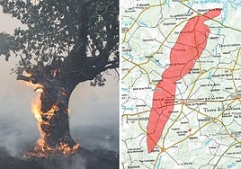 A la izquierda, un árbol quemado en el incendio de Cipérez y, a la derecha, la superficie afectada por el incendio en esta zona de Salamanca.