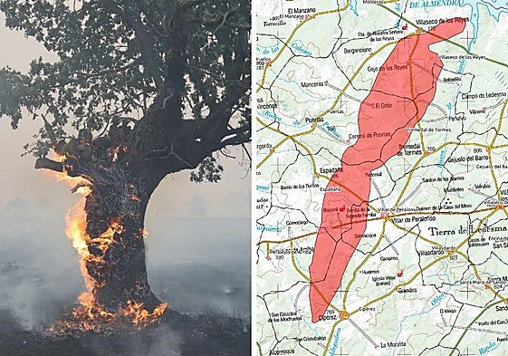 A la izquierda, un árbol quemado en el incendio de Cipérez y, a la derecha, la superficie afectada por el incendio en esta zona de Salamanca.