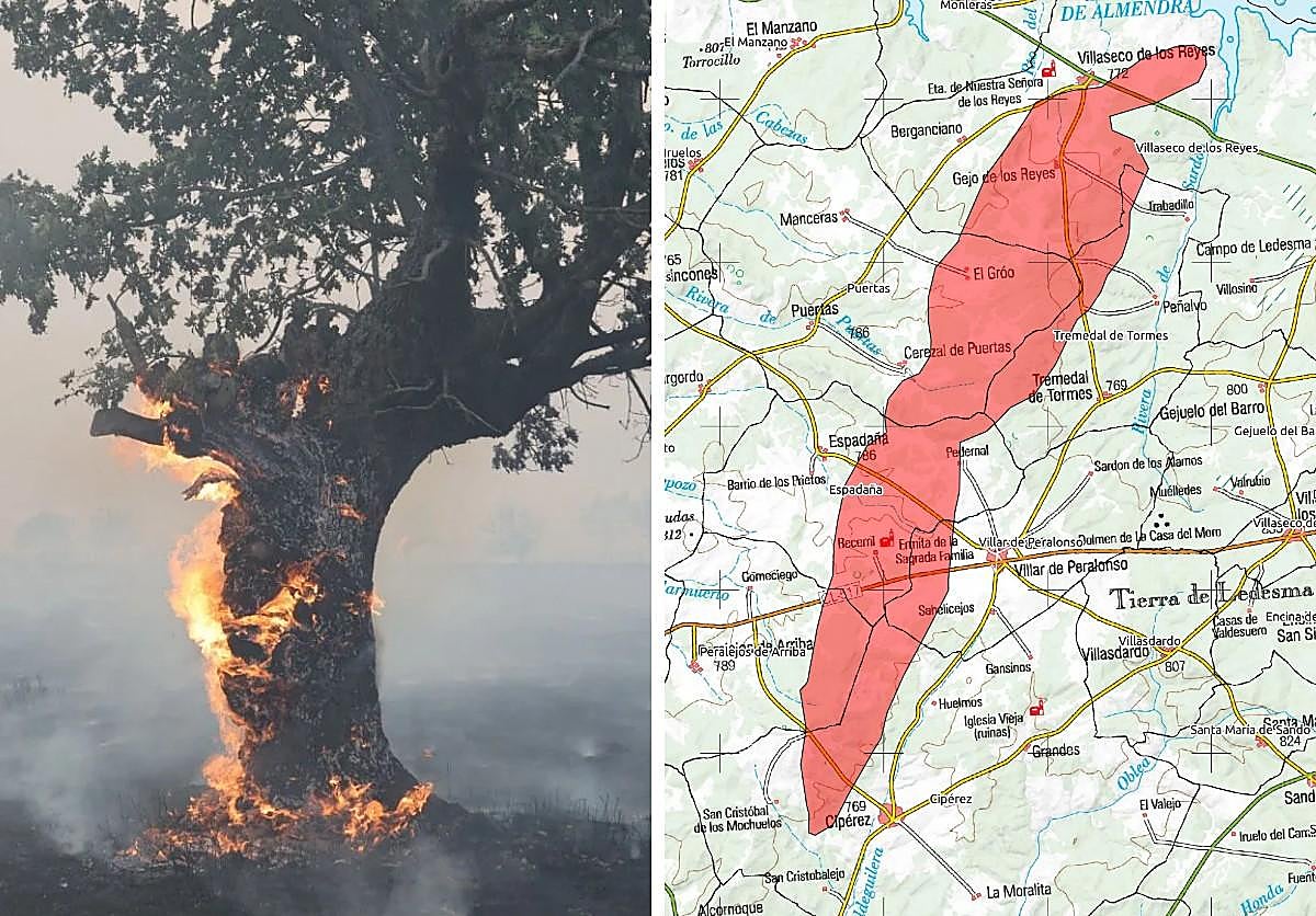 A la izquierda, un árbol quemado en el incendio de Cipérez y, a la derecha, la superficie afectada por el incendio en esta zona de Salamanca.