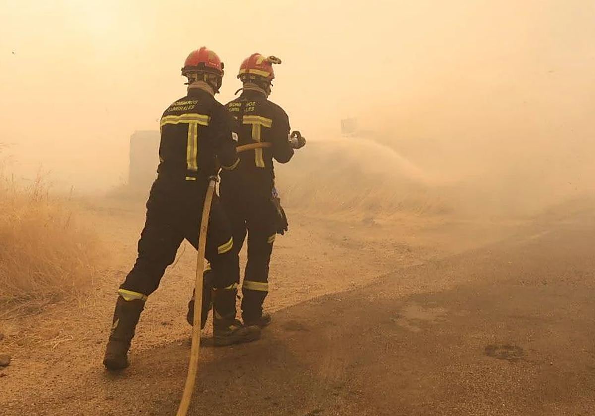 Dos bomberos intentar apagar el fuego en la comarca de Vitigudino este viernes.