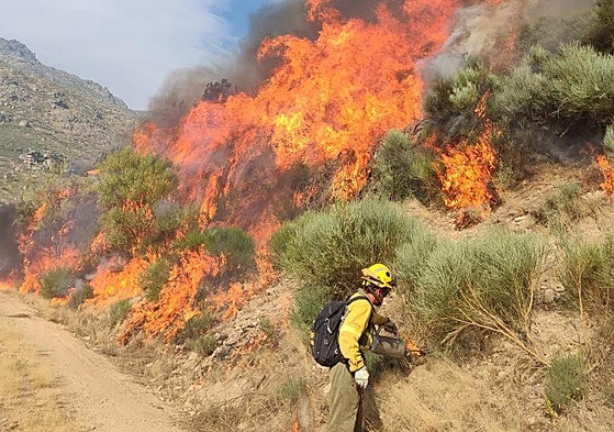 Las llamas en el frente de Jarilla, en la cuerda que divide el Valle del Jerte y el Ambroz, por encima de la localidad de El Tornadizo.