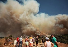 Uno de los incendios que afectan a la provincia salmantina.