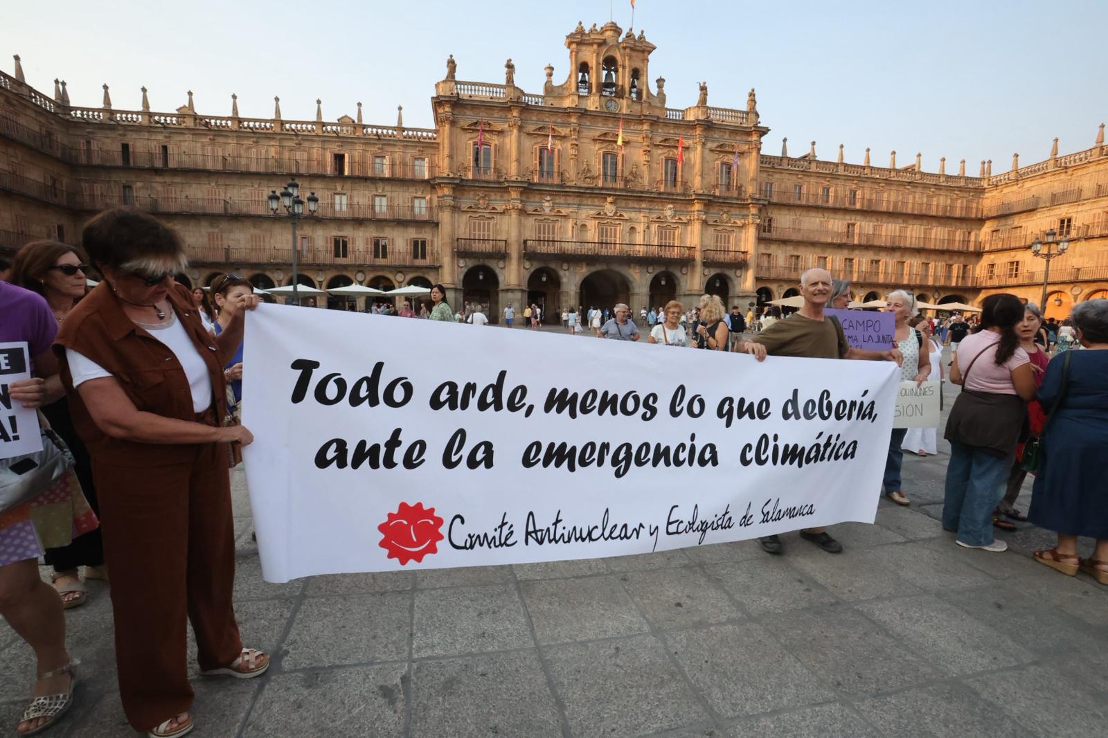 En imágenes, la manifestación en Salamanca por la gestión de los incendios