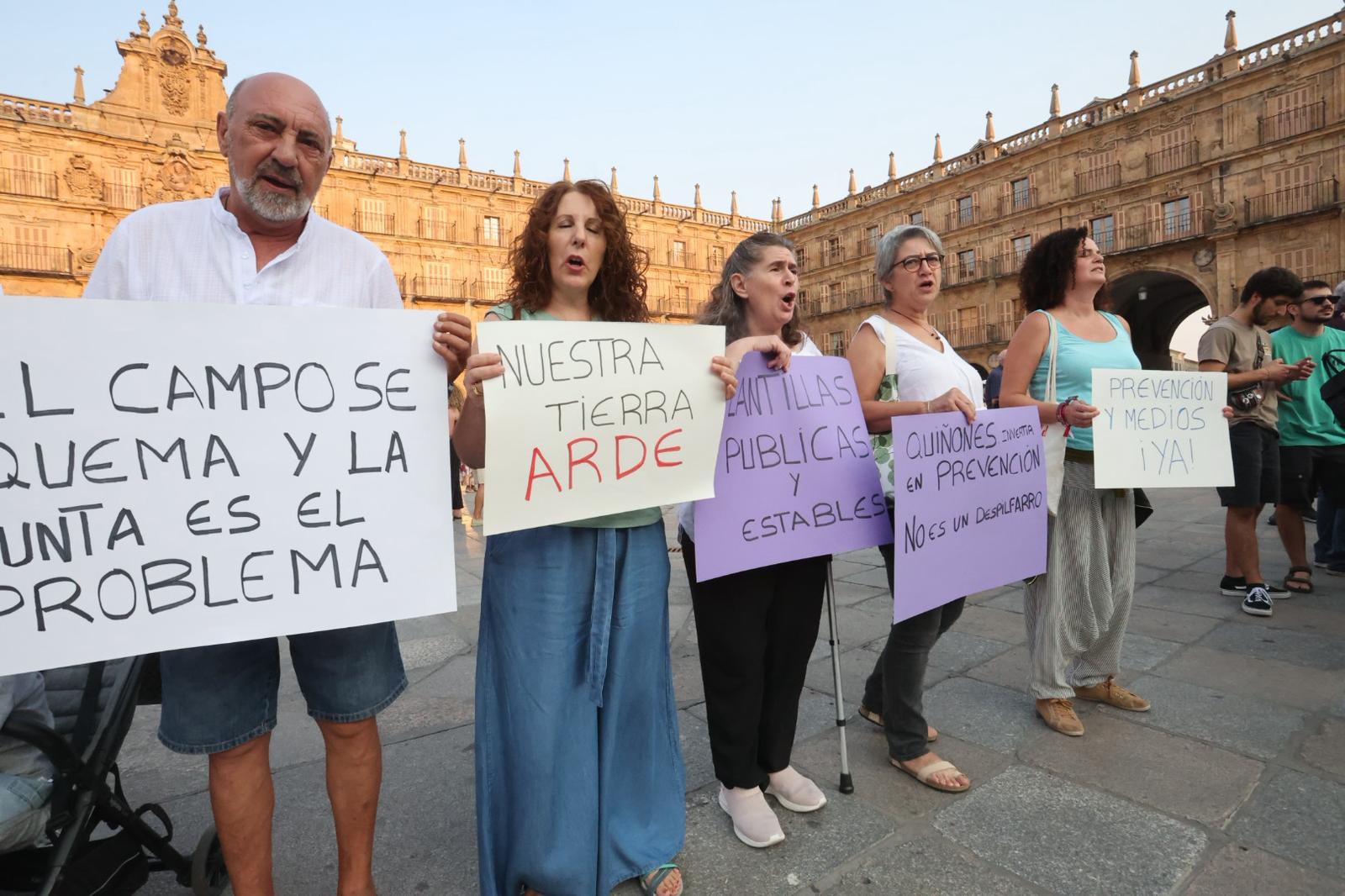 En imágenes, la manifestación en Salamanca por la gestión de los incendios