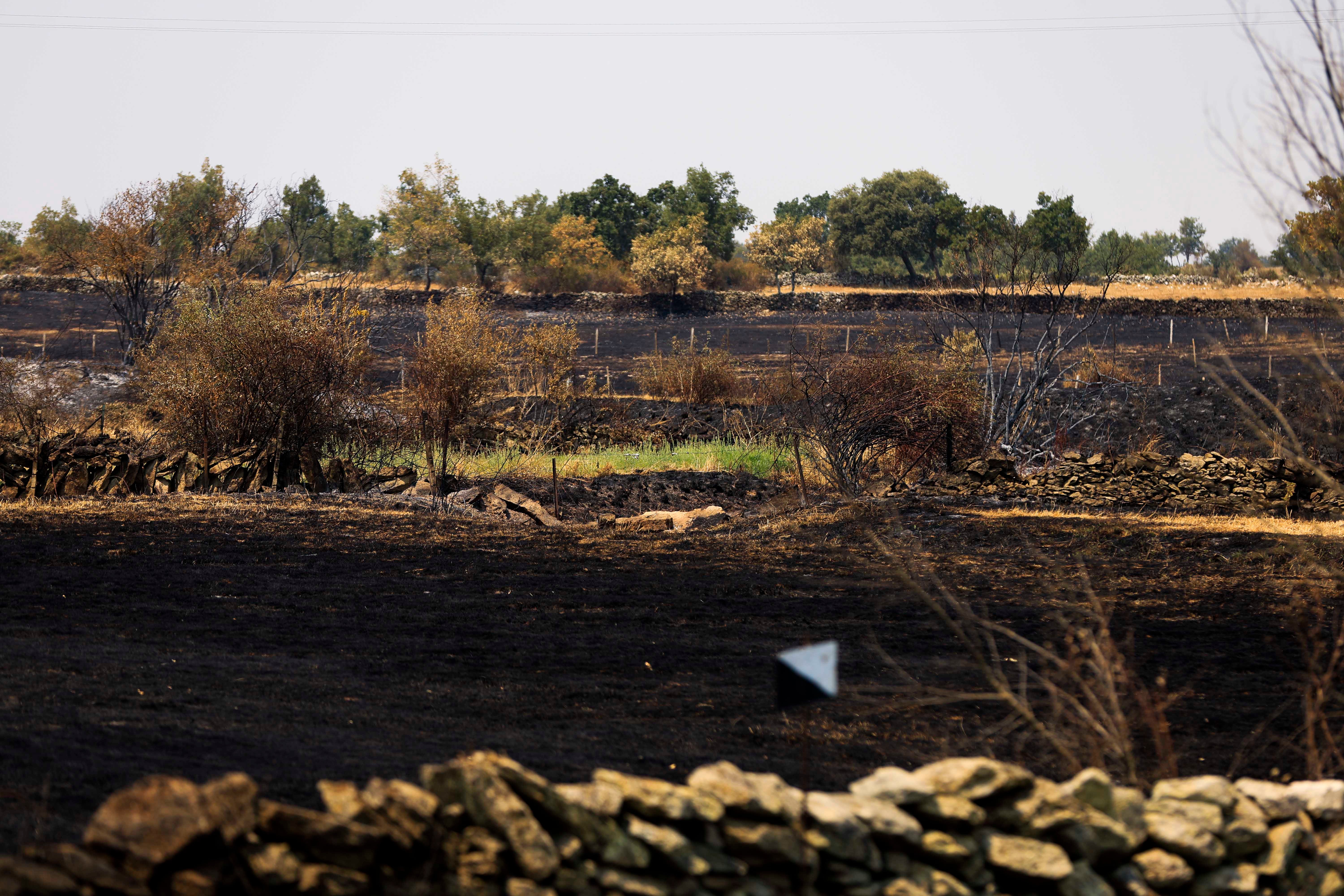 En imágenes, el rastro negro del mayor incendio de la provincia de Salamanca
