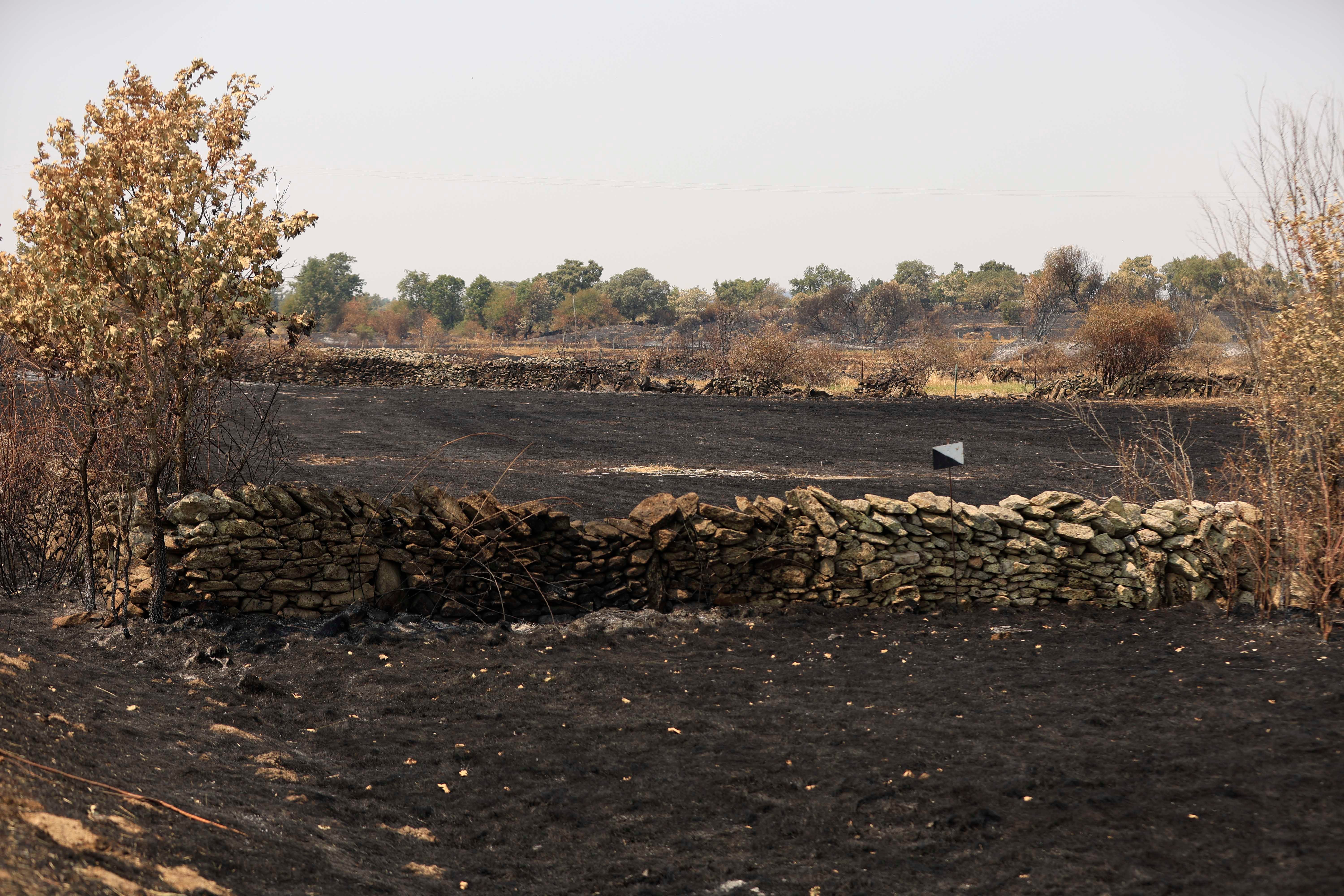 En imágenes, el rastro negro del mayor incendio de la provincia de Salamanca