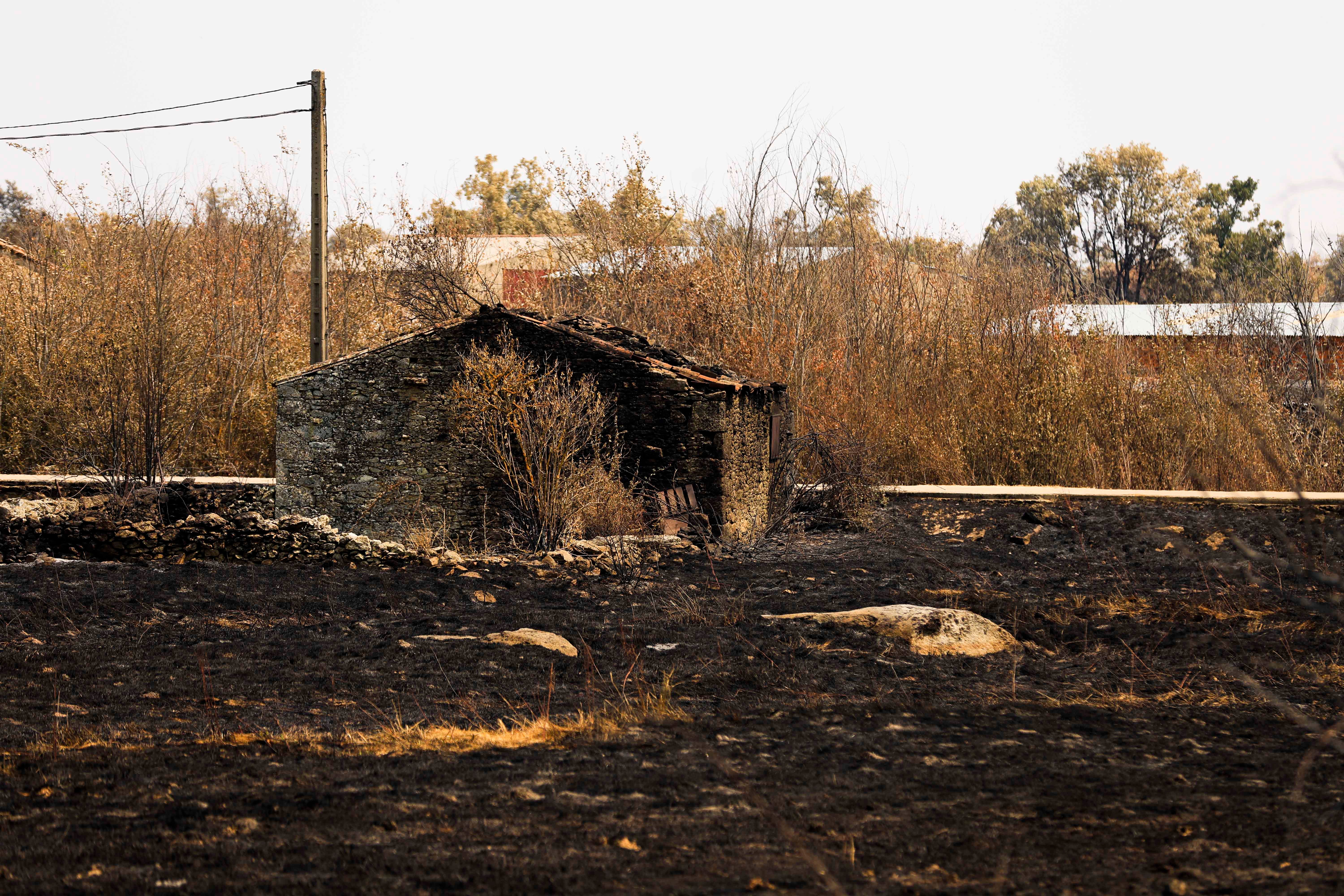 En imágenes, el rastro negro del mayor incendio de la provincia de Salamanca