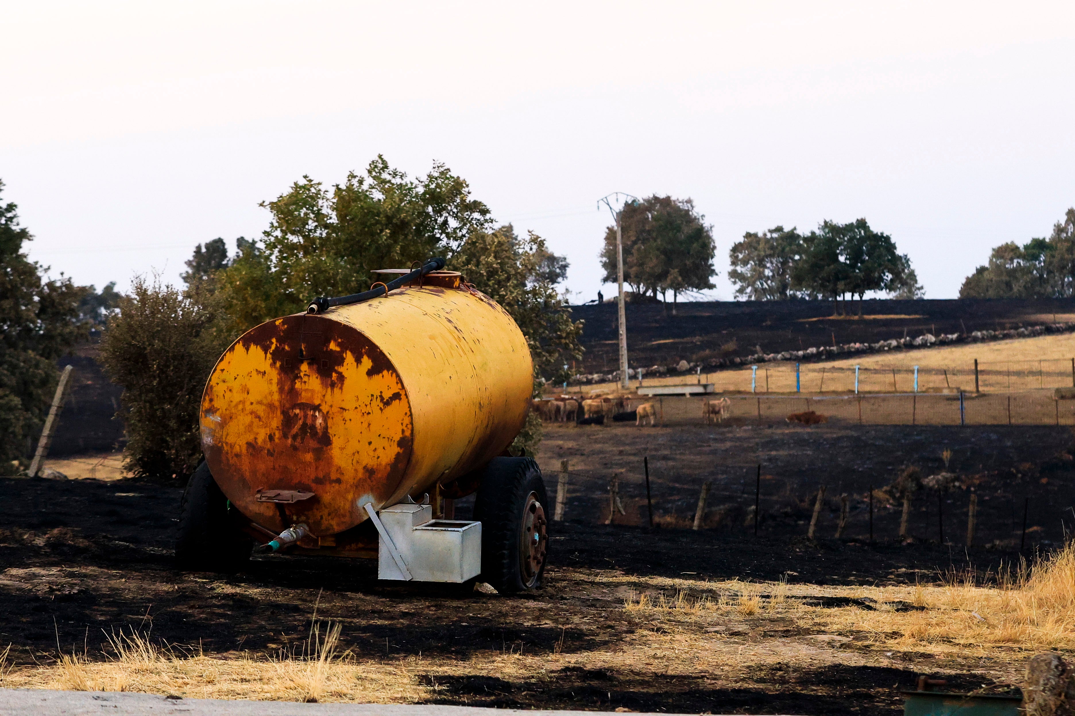 En imágenes, el rastro negro del mayor incendio de la provincia de Salamanca