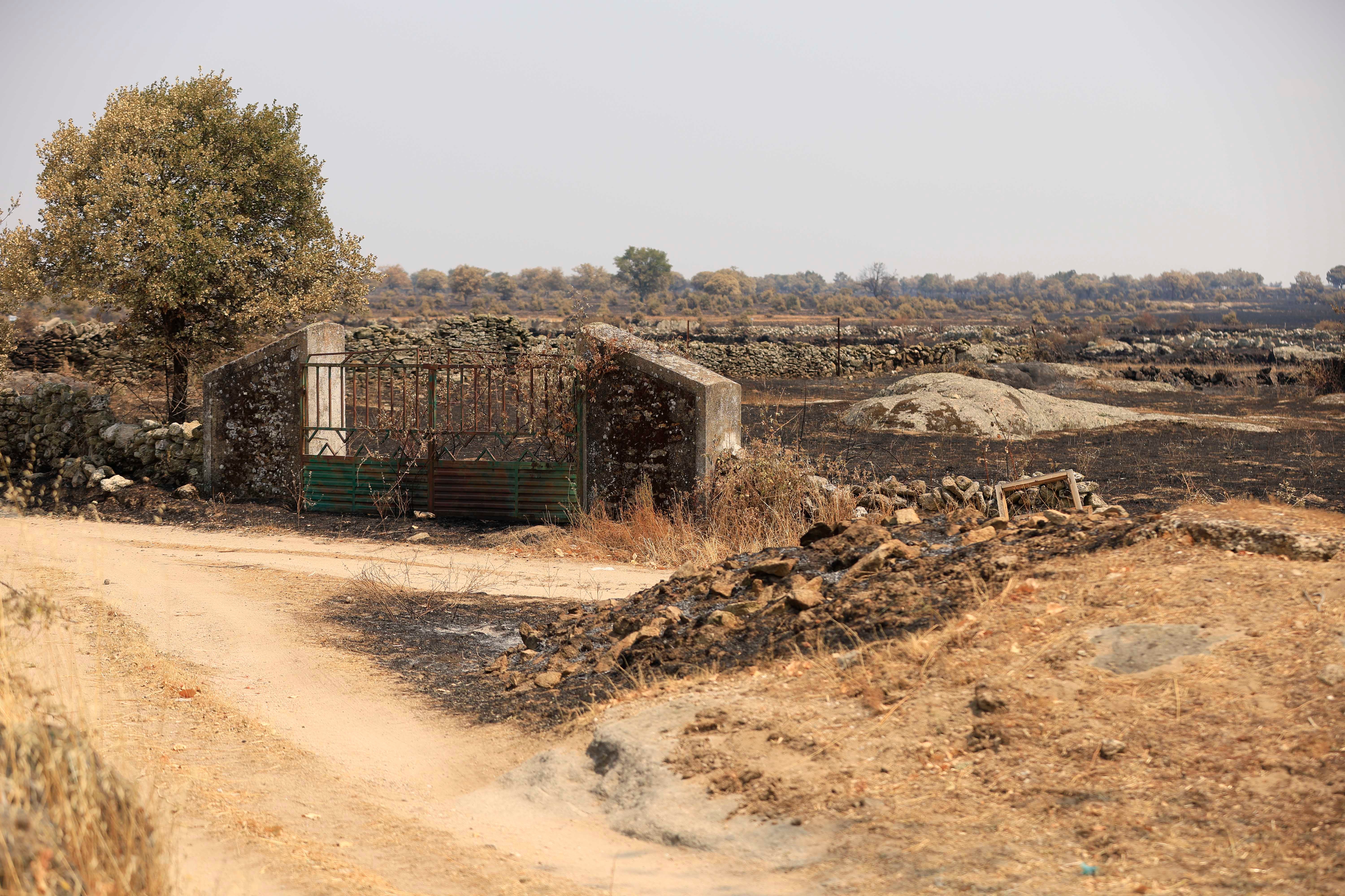 En imágenes, el rastro negro del mayor incendio de la provincia de Salamanca