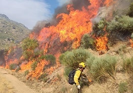 La incursión del fuego de Jarilla en Salamanca se da por terminada: nivel 0 en Candelario