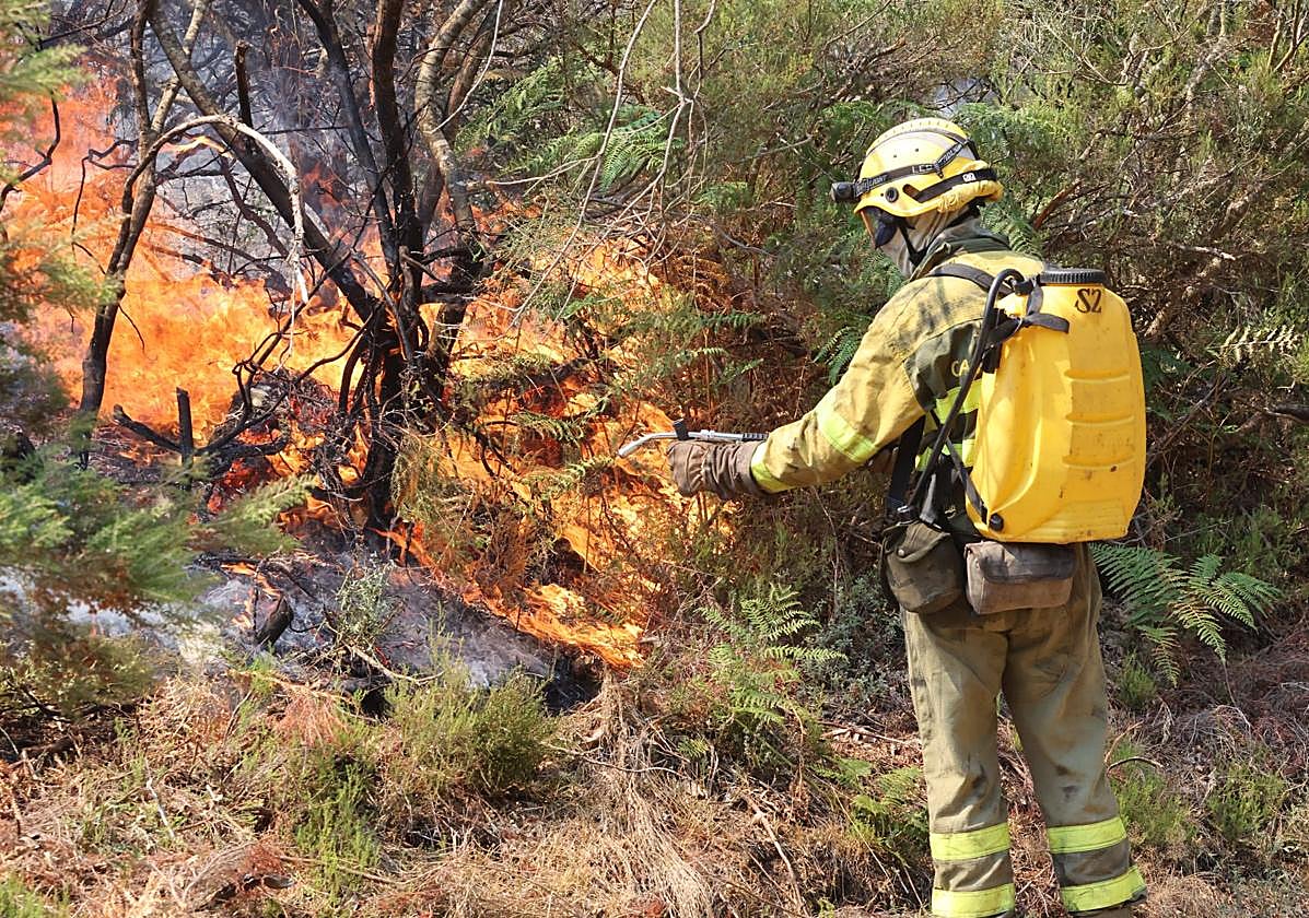 Operativo forestal contra los incendios, trabajando en el de La Alberca.