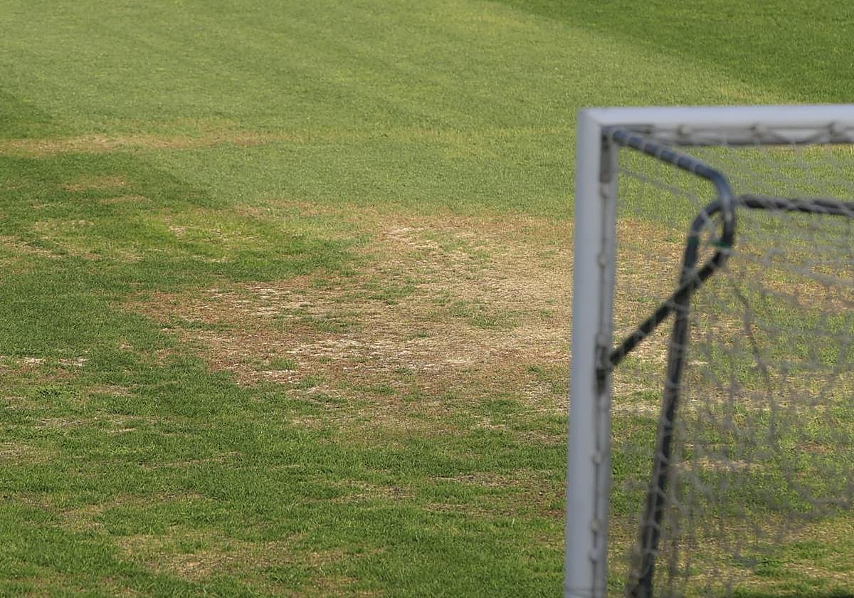 Así está el césped del Reina Sofía a cinco días para el comienzo de temporada