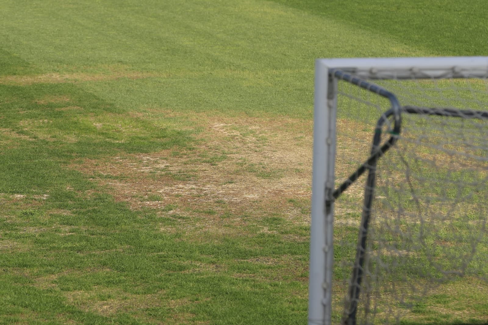 Así está el césped del Reina Sofía a cinco días para el comienzo de temporada