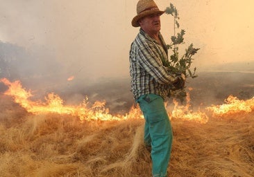 Cipérez apresentou a aplicação da zona catastrófica e espera que seja um erro burocrático: 