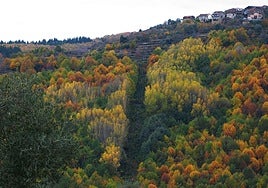 Paisaje en la Sierra de Francia.