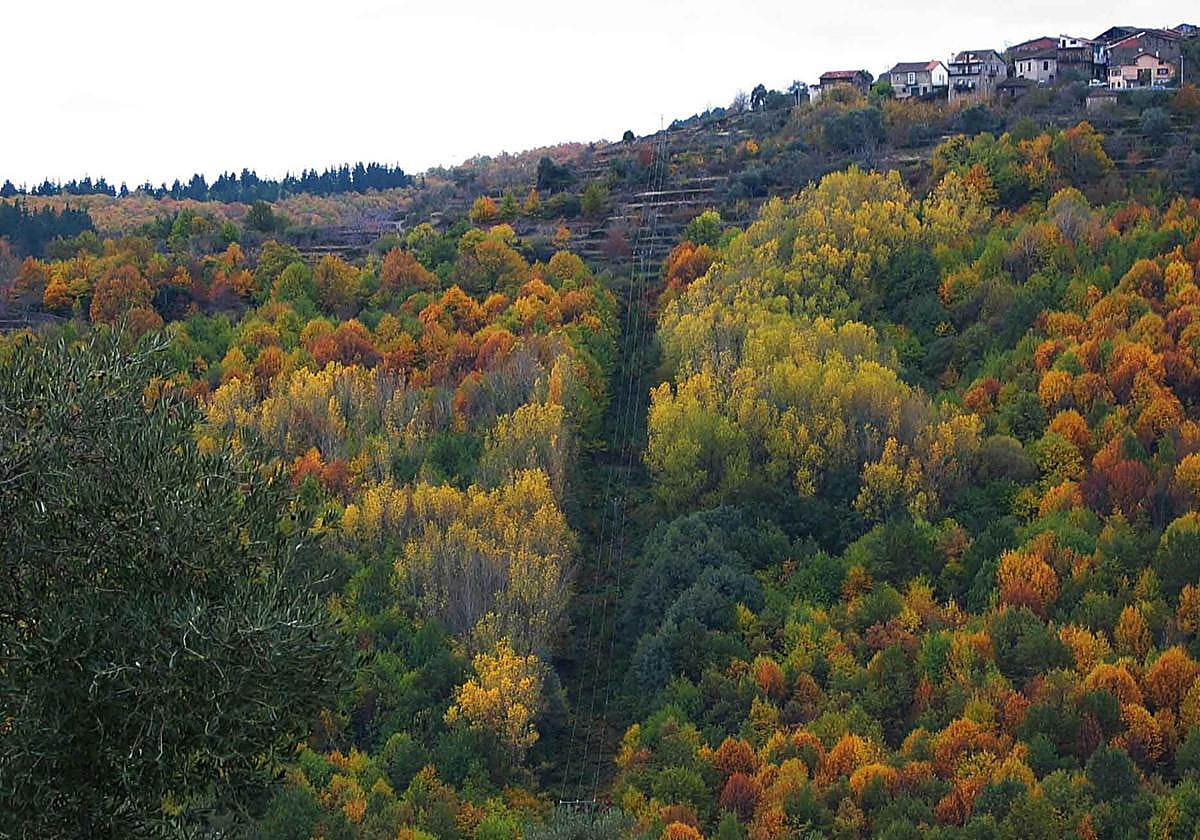 Paisaje en la Sierra de Francia.