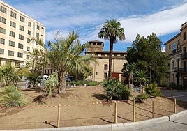 Las palmeras plantadas son de varios portes y son una docena entre ejemplares sueltos y grupos.