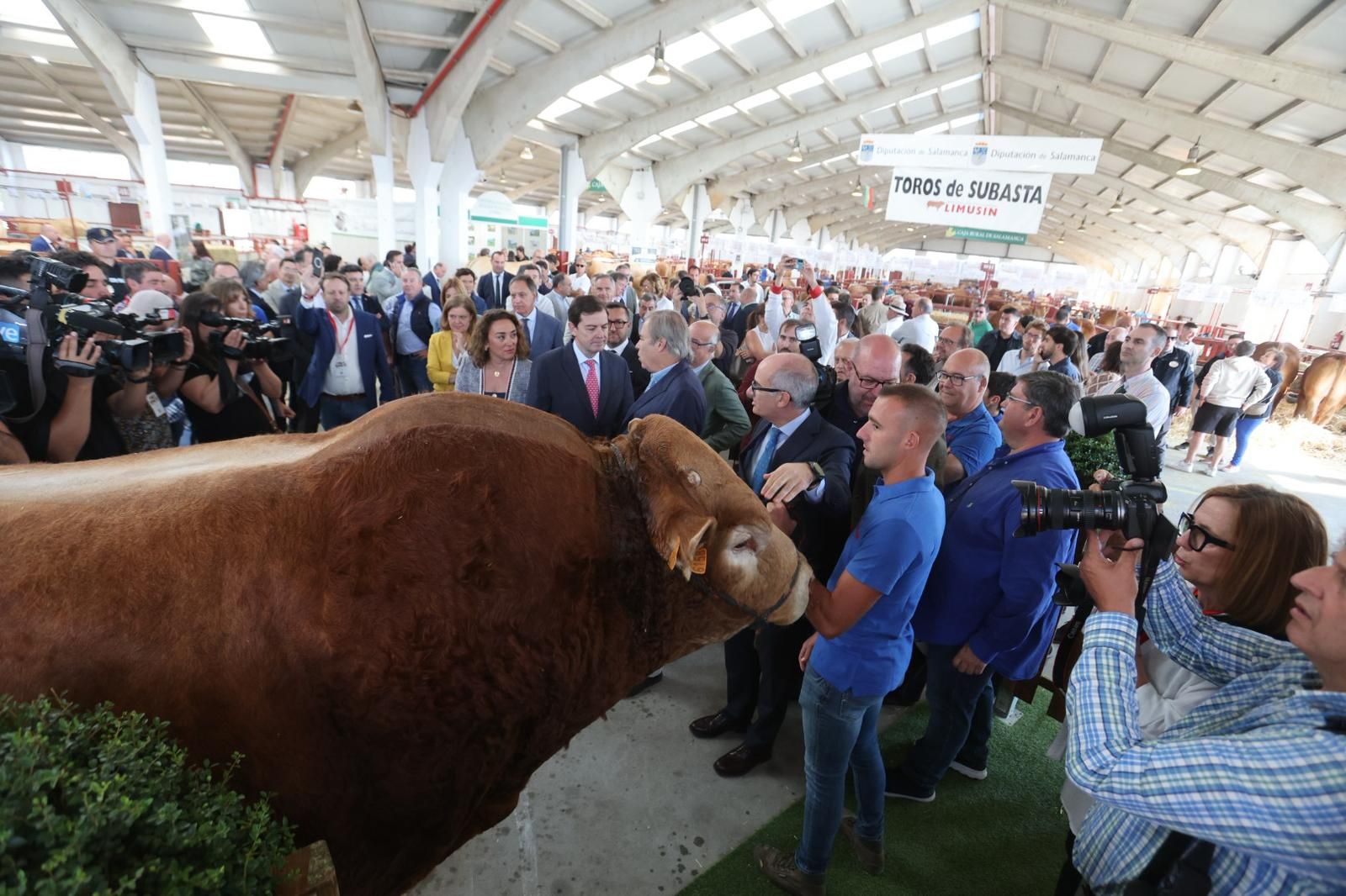 Así ha sido el comienzo de Salamaq, la tradicional cita de Salamanca con el campo