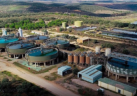 Instalaciones y planta Quercus en Saelices el Chico.