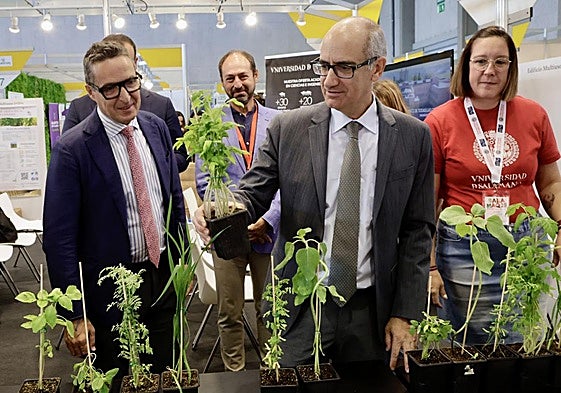 El presidente de la Diputación de Salamanca, Javier Iglesias, y el rector de la Universidad de Salamanca, Juan Manuel Corchado, informan sobre una nueva línea de colaboración entre ambas instituciones.