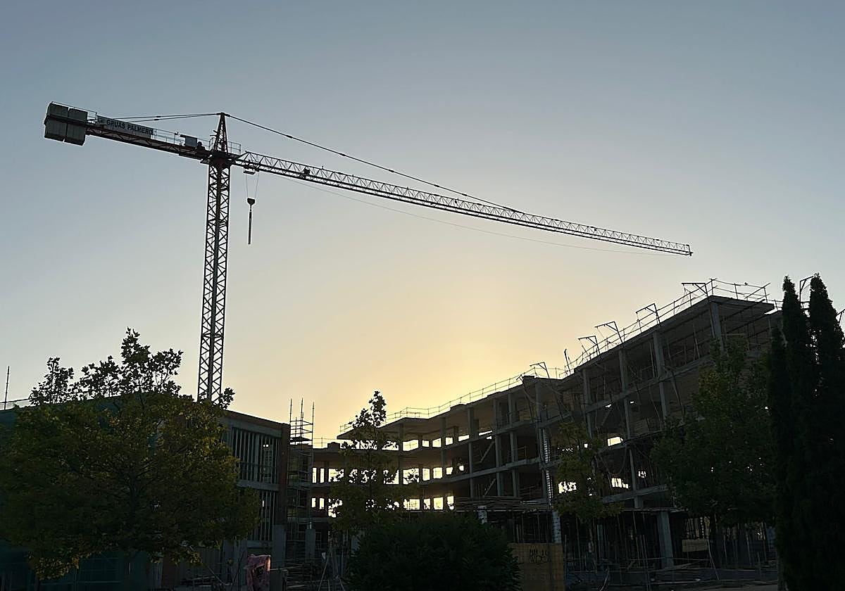 Una de las grúas de construcción repartidas por la ciudad.