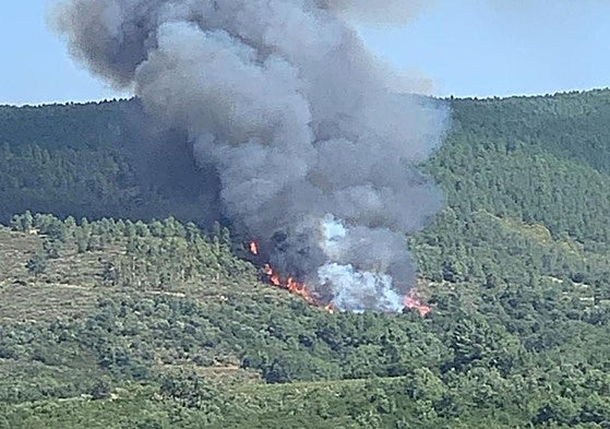 El incendio de Garcibuey, activo en una zona arbolada.