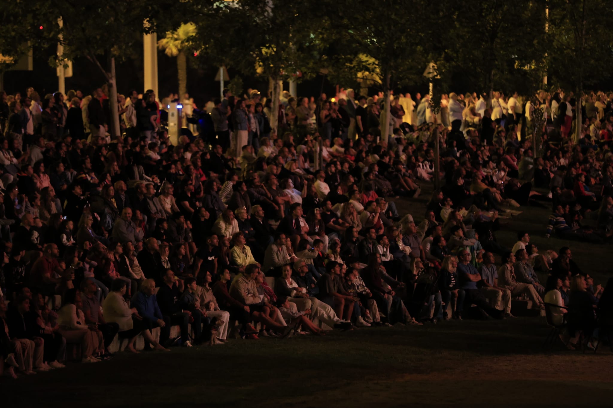 Los fuegos artificiales colorean el cielo de Salamanca