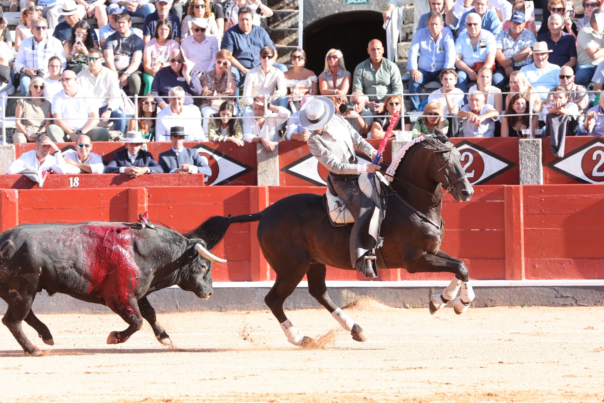 Olga Casado abre la puerta grande del festejo femenino de la feria