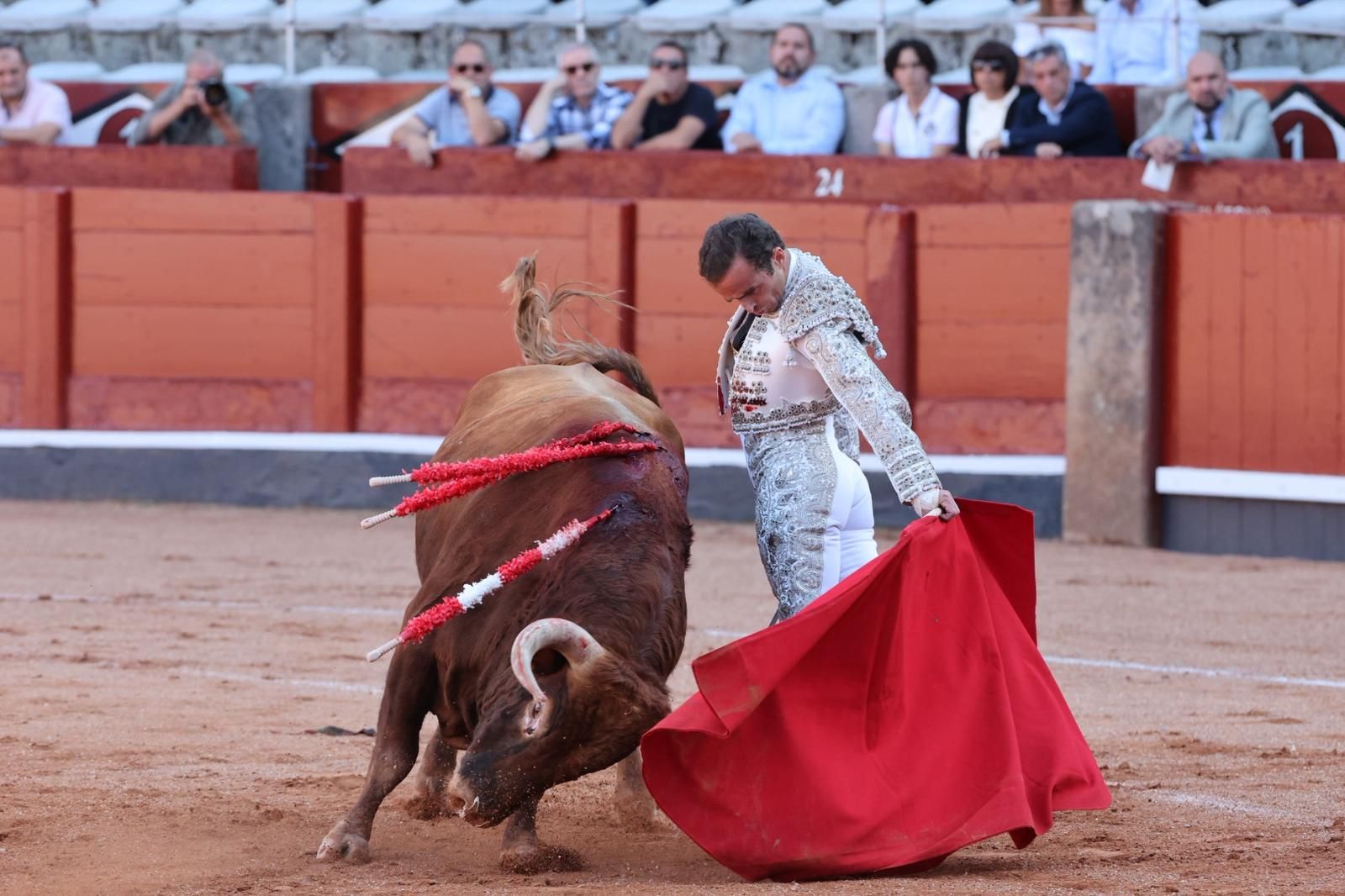 Tres orejas para Ismael Martín y traslado de Damián Castaño al hospital en la segunda de abono de Salamanca