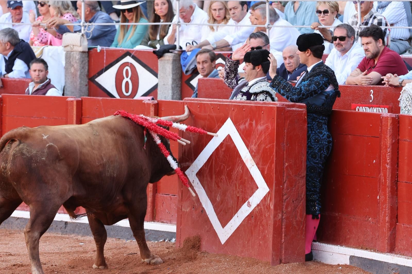Tres orejas para Ismael Martín y traslado de Damián Castaño al hospital en la segunda de abono de Salamanca