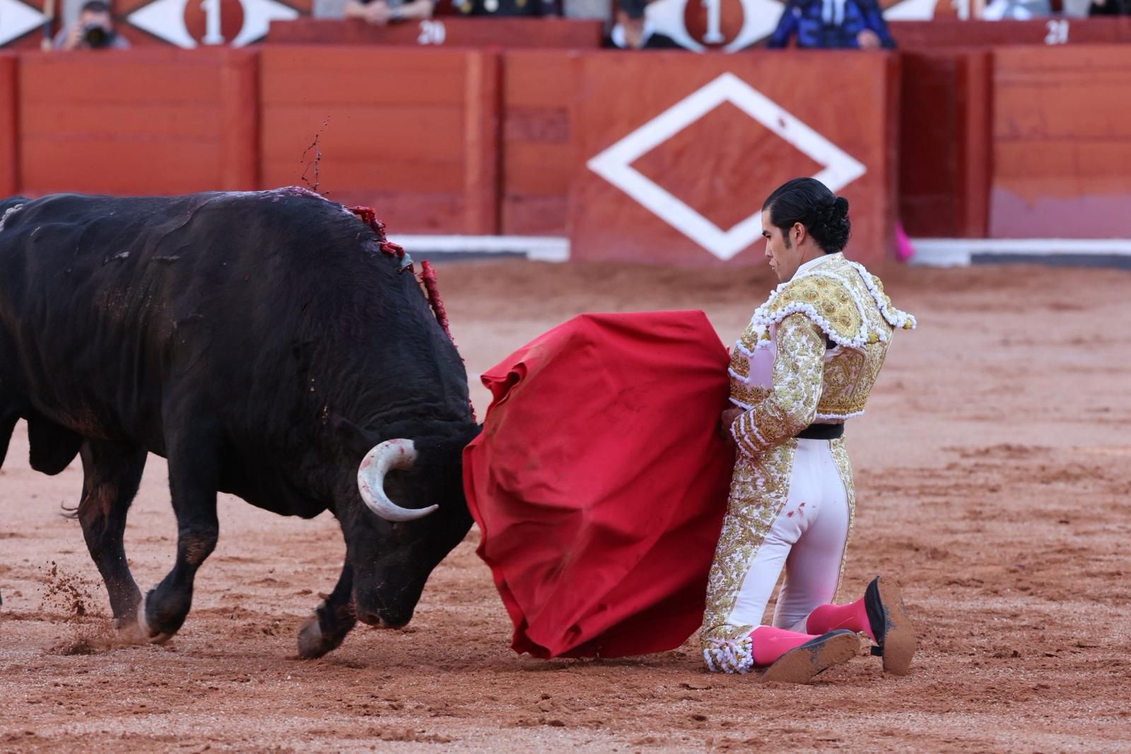Tres orejas para Ismael Martín y traslado de Damián Castaño al hospital en la segunda de abono de Salamanca