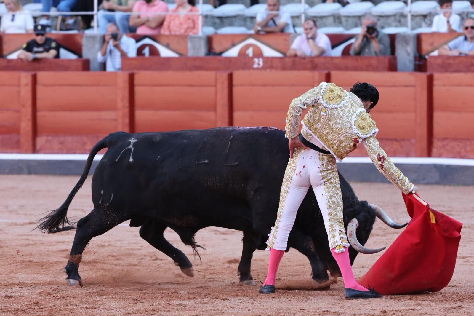 Tres orejas para Ismael Martín y traslado de Damián Castaño al hospital en la segunda de abono de Salamanca