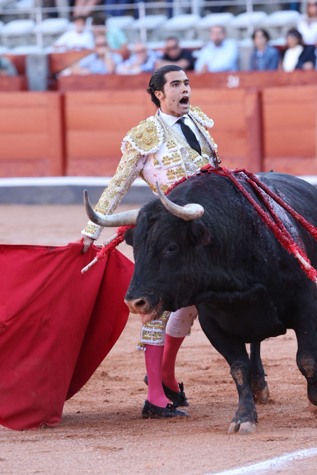 Tres orejas para Ismael Martín y traslado de Damián Castaño al hospital en la segunda de abono de Salamanca