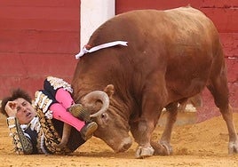 Roca Rey, en el suelo tras ser prendido por el segundo de la tarde este viernes en Valladolid.