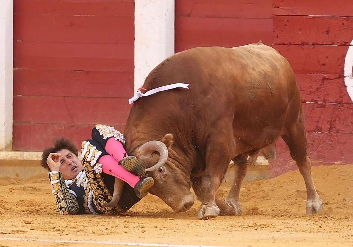 Roca Rey, en el suelo tras ser prendido por el segundo de la tarde este viernes en Valladolid.